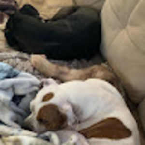 Meet your Posher, Camrin